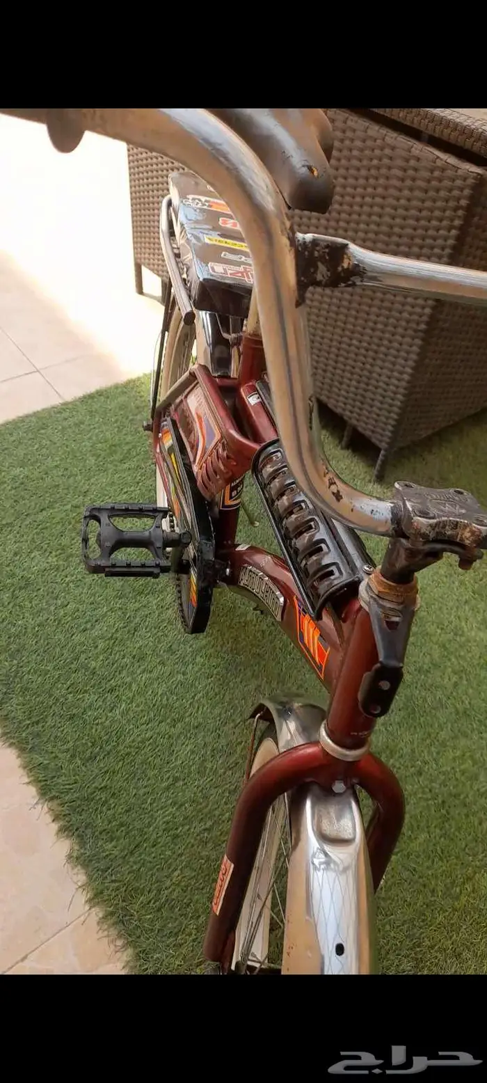 رامبو سيكل رامبو نظيف 20 1