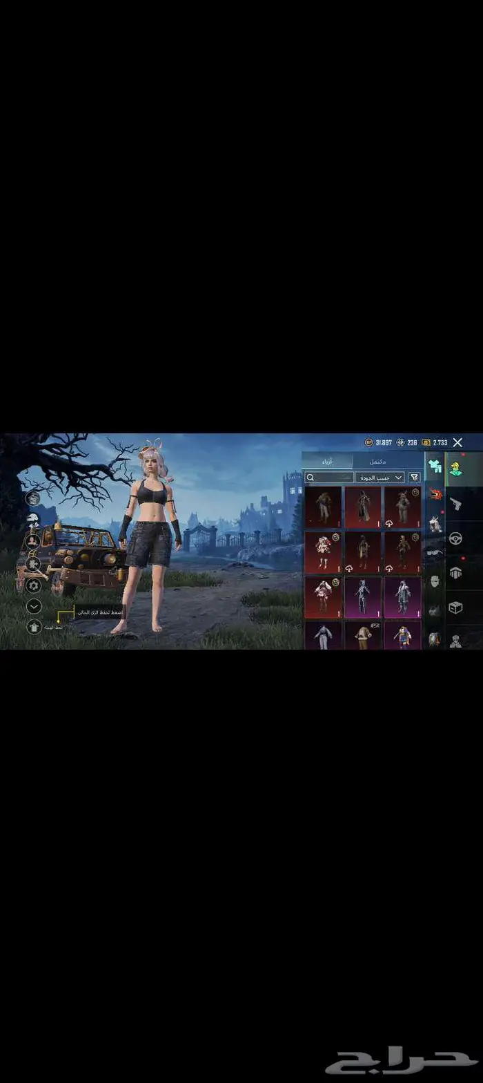 حساب ببجي للبيع 4
