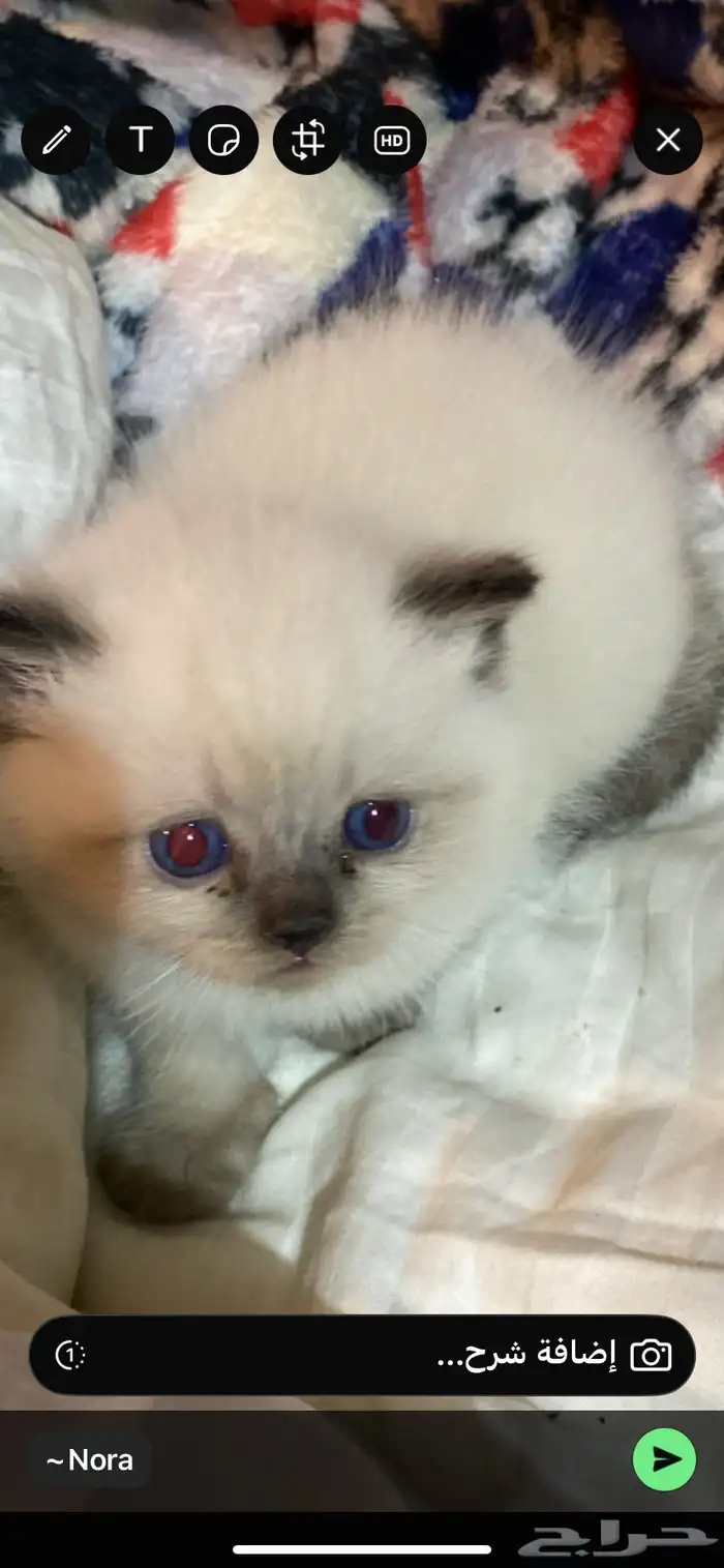 رضيعه جميله جدا 0