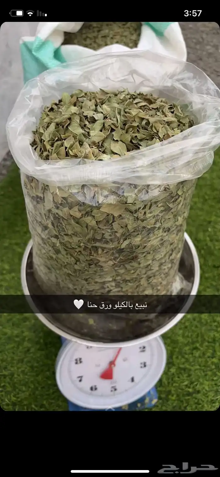 حناء وسدر عضوي 1