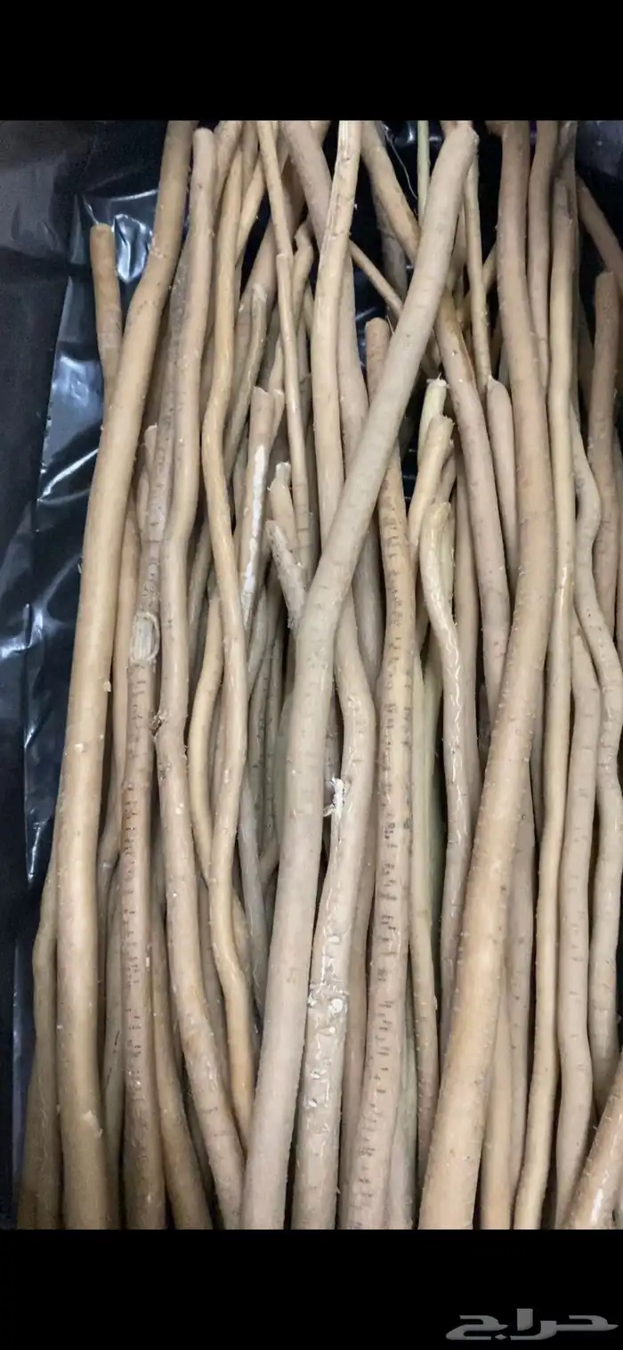 مساويك طيبه ابوحنش 0