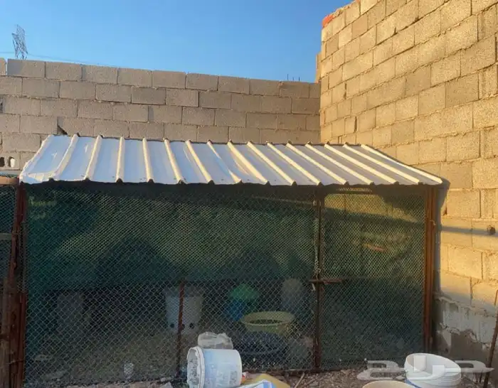 شبك مغطى بزنك للغنم او طيور 3في 3 0