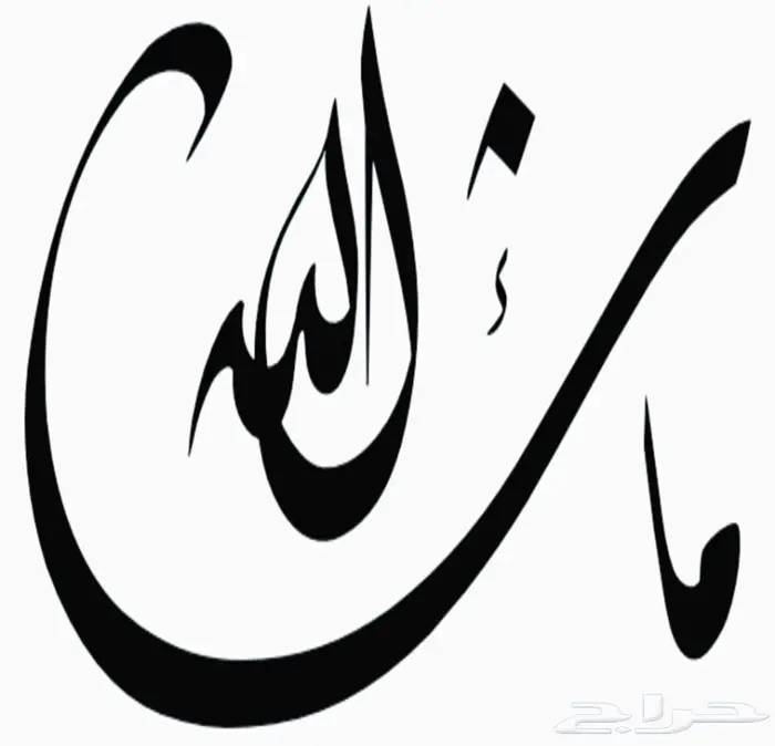 شقة مؤثثة_الدور الثاني_الموقع شوران_صلاح الدين الايوبي 8