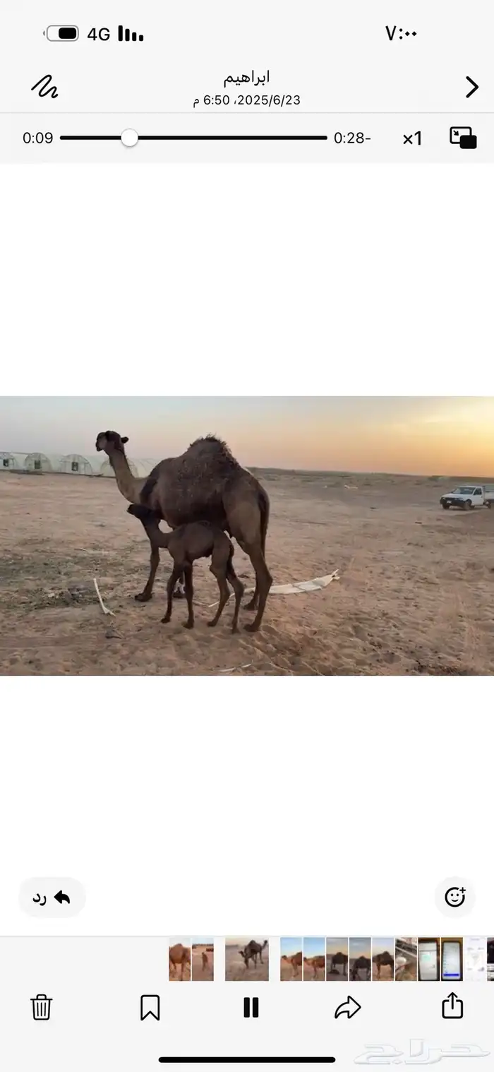 بيع خلفه 5