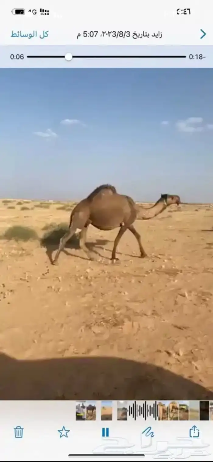بيع خلفه 6