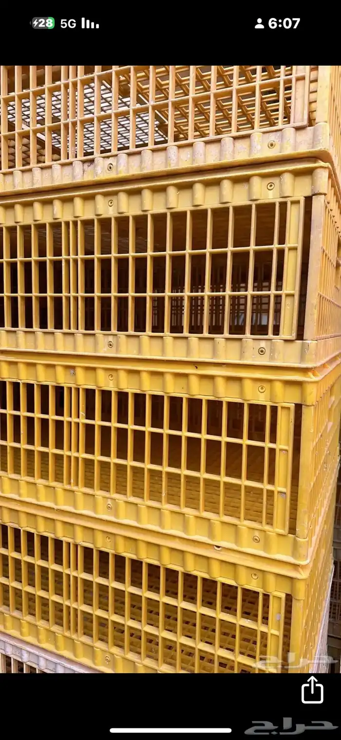 توصيل ونقل طيور وحلال 1