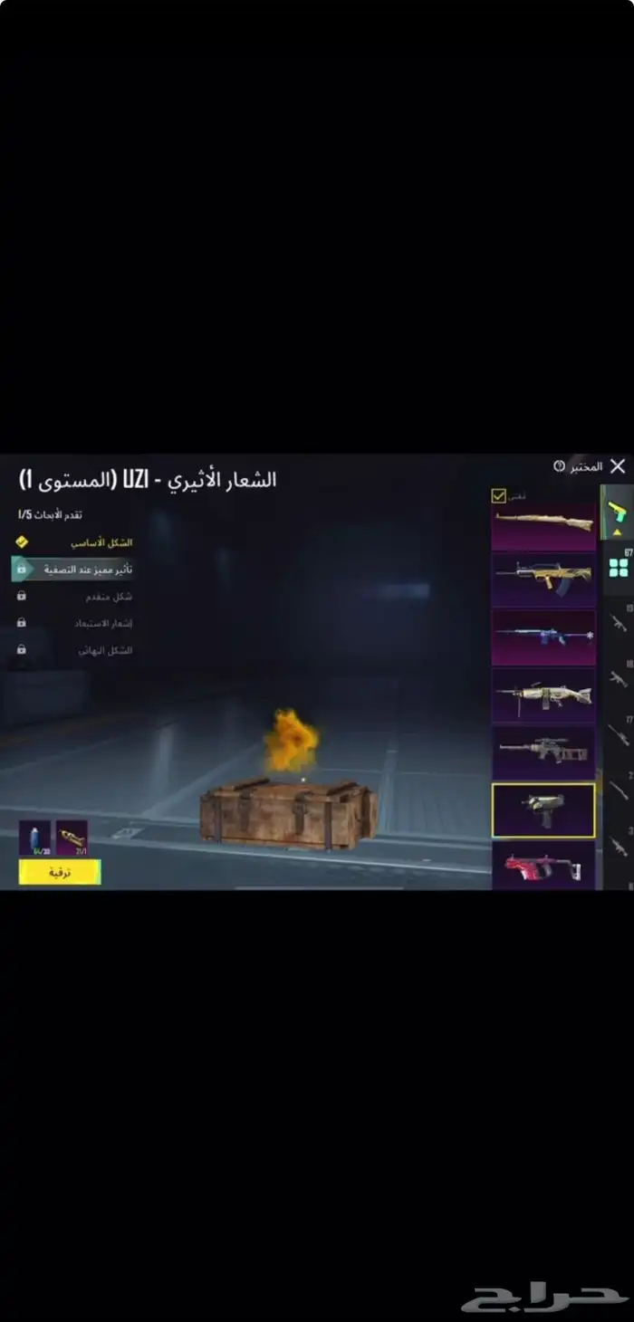 ببجي 30