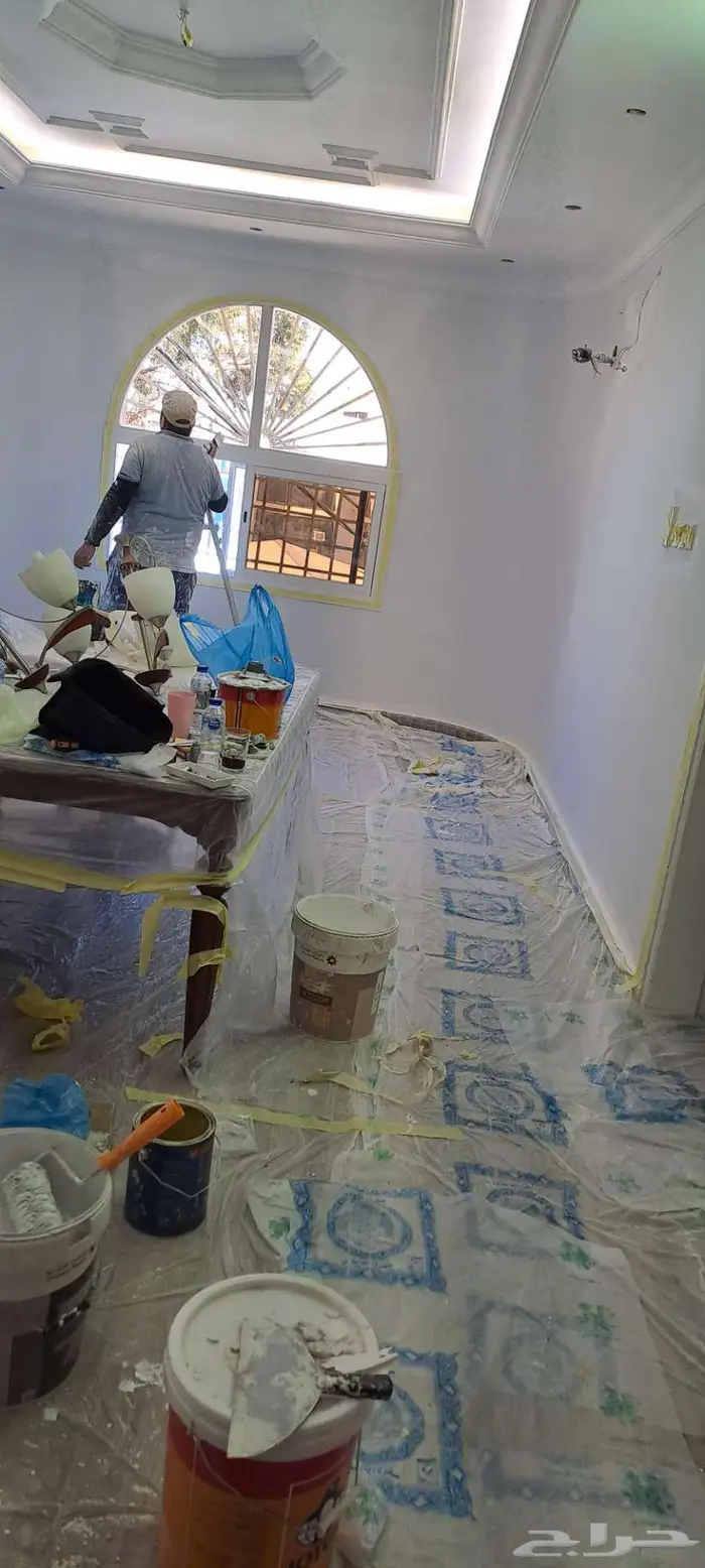 دهانات الباحه 0