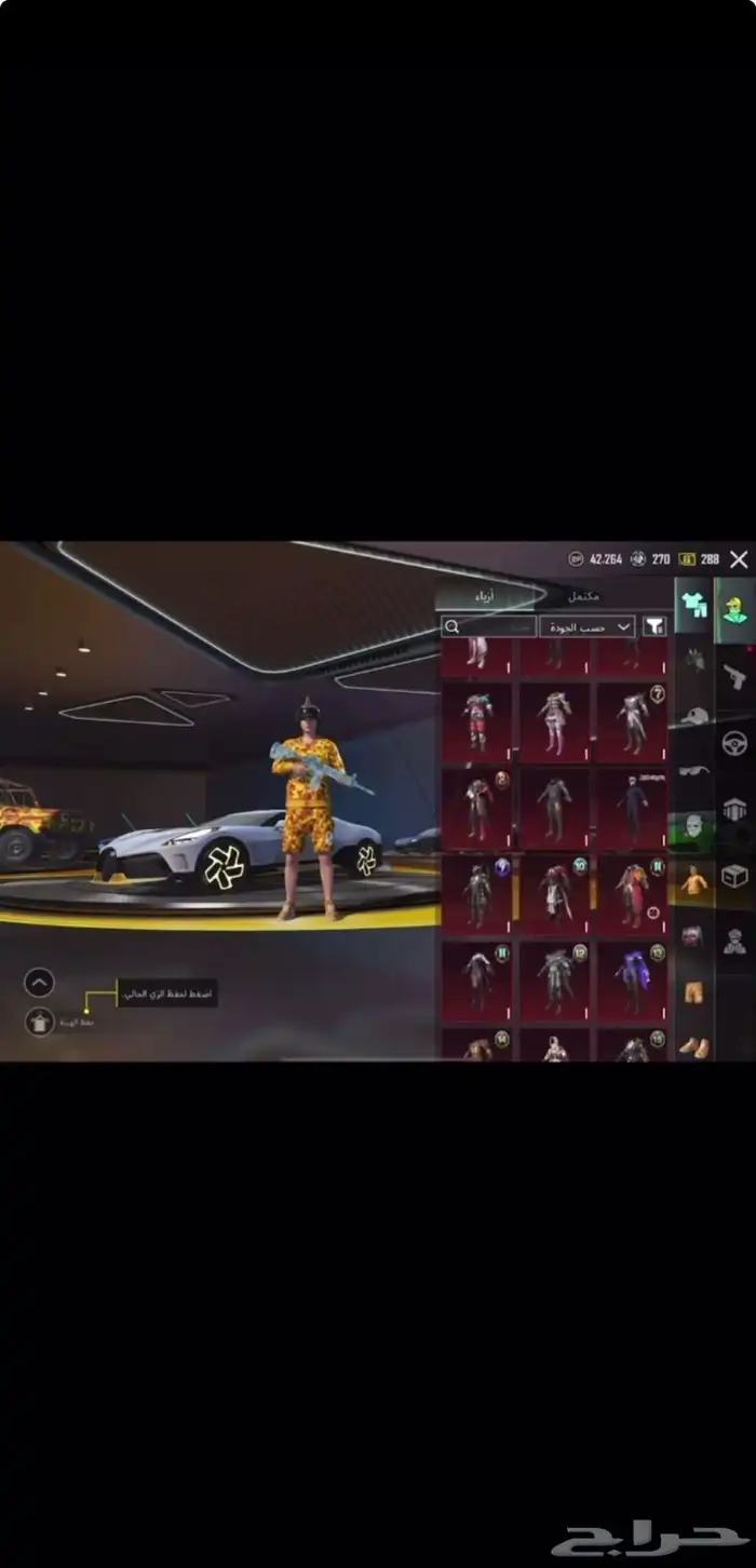 ببجي 17