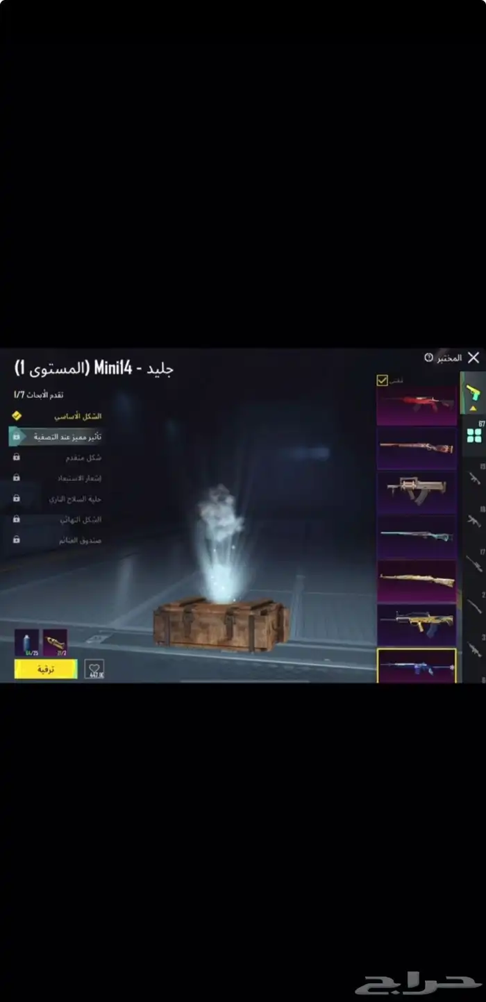ببجي 31