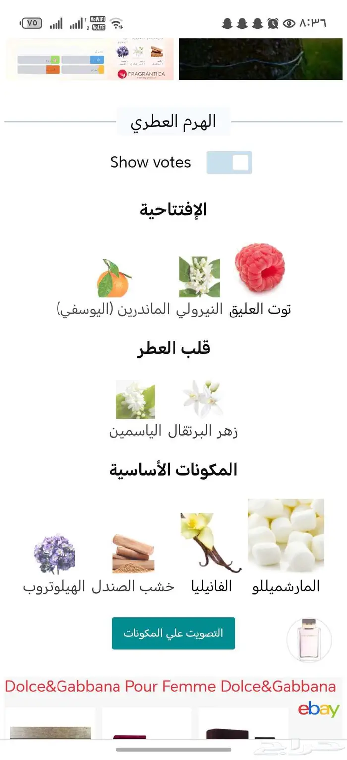 عطر دولتشي اند غابانا بور فيمي 3