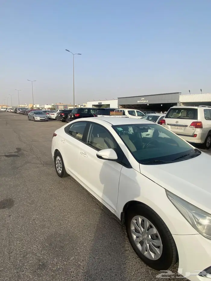 اكسنت 2019 الوعلان 2
