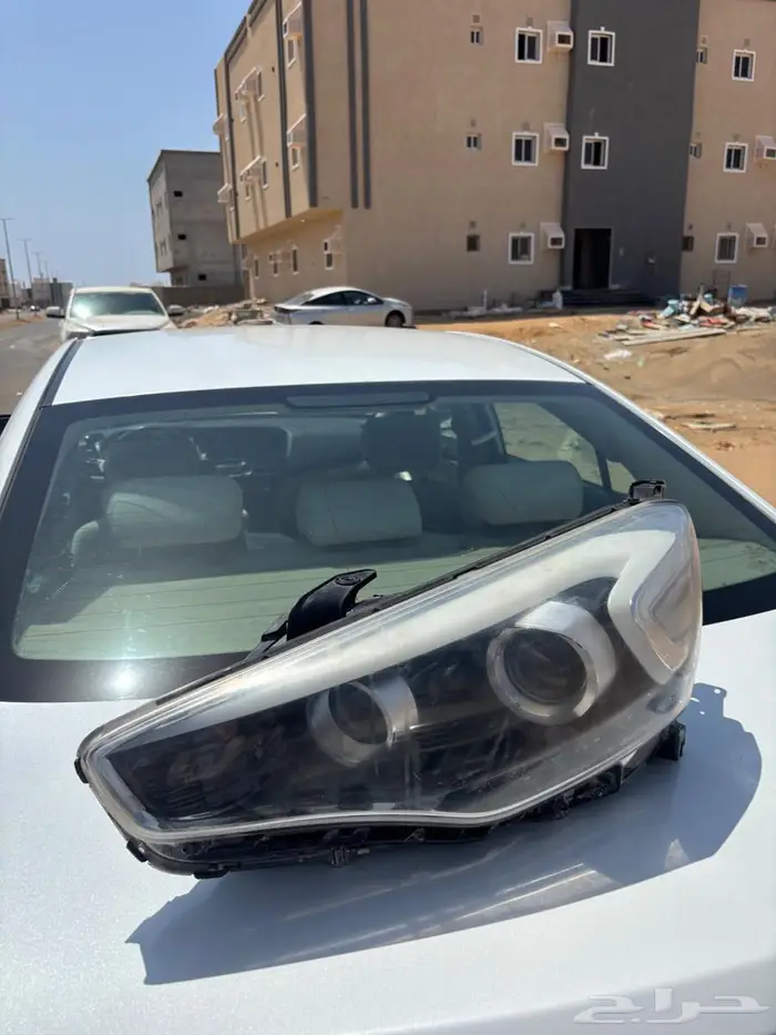 كادنزا 2