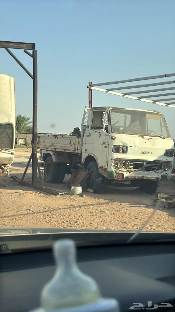 دينا قلاب مسقطة 0