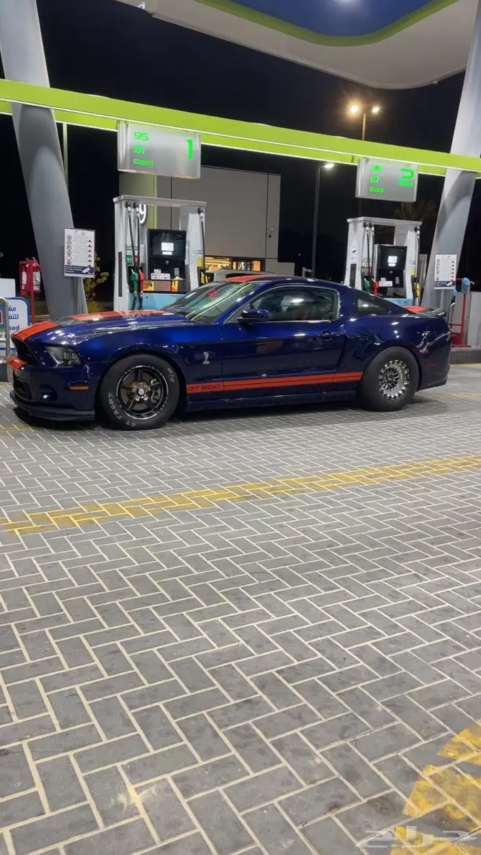 موستنج شلبي 0