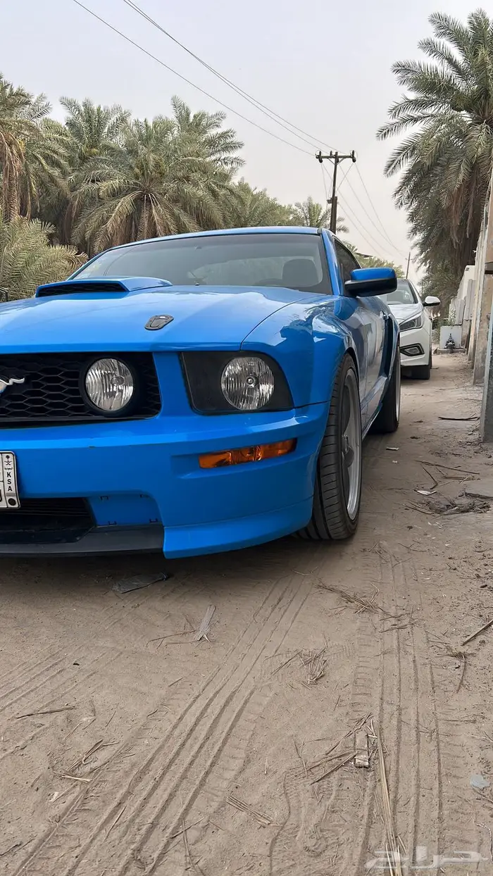 موستنق 2008 6