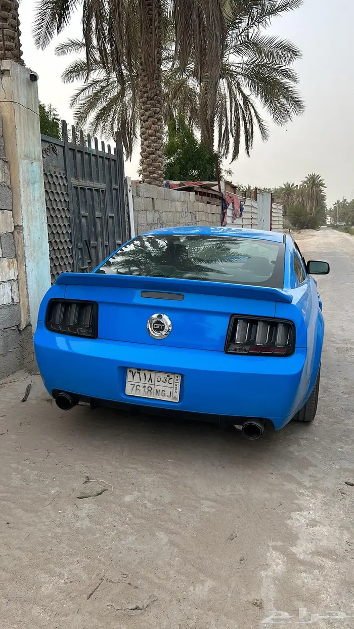 موستنق 2008 8