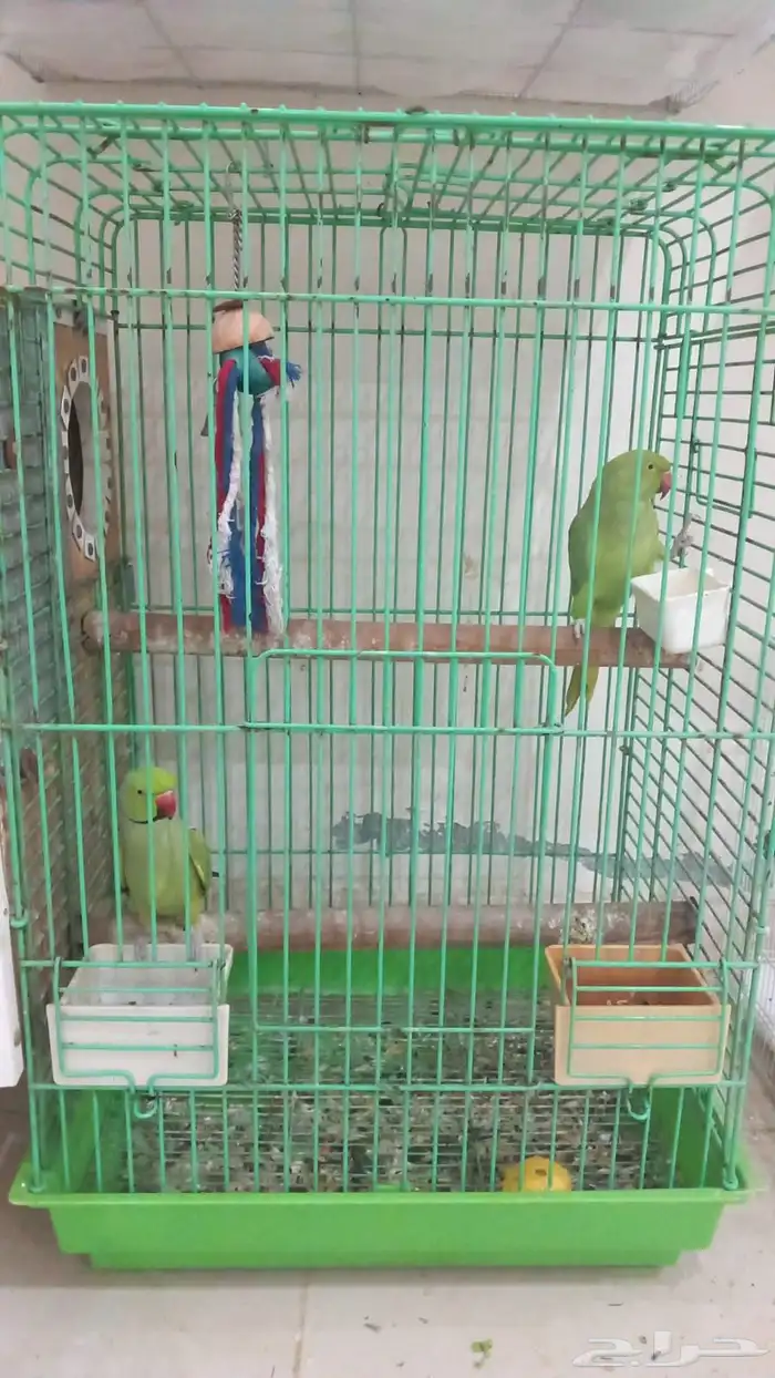 تم البيع خارج الموقع 0