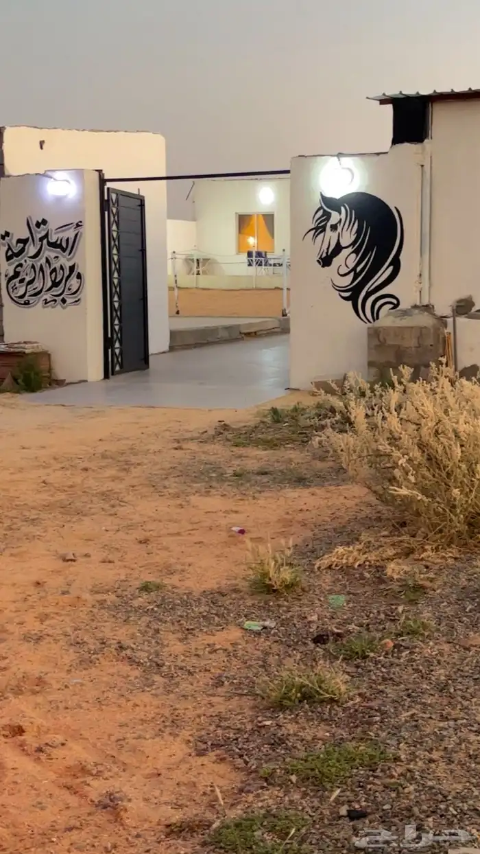غرف اجار للخيل بسعر منافس وصحة جيده للخيل 7