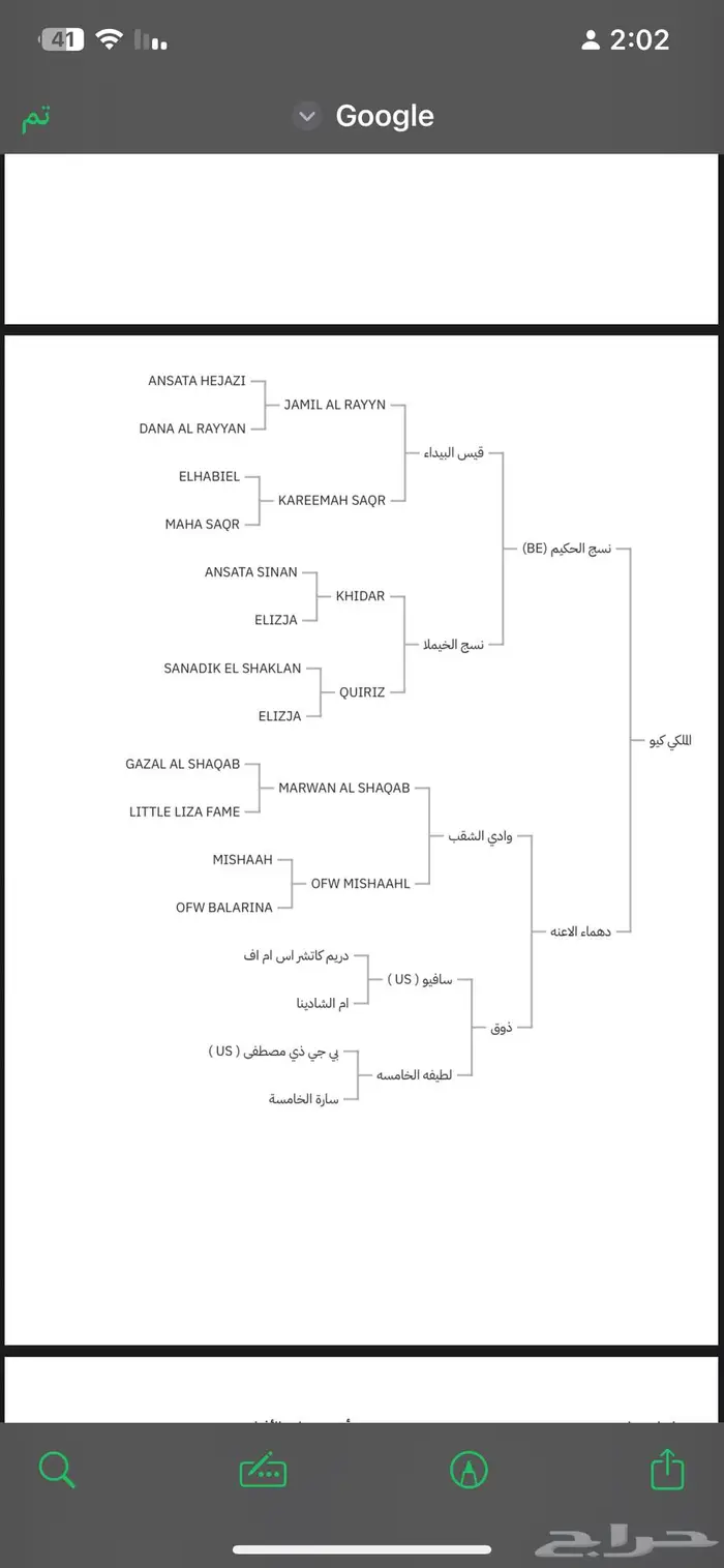 حصان واهو للبيع 4