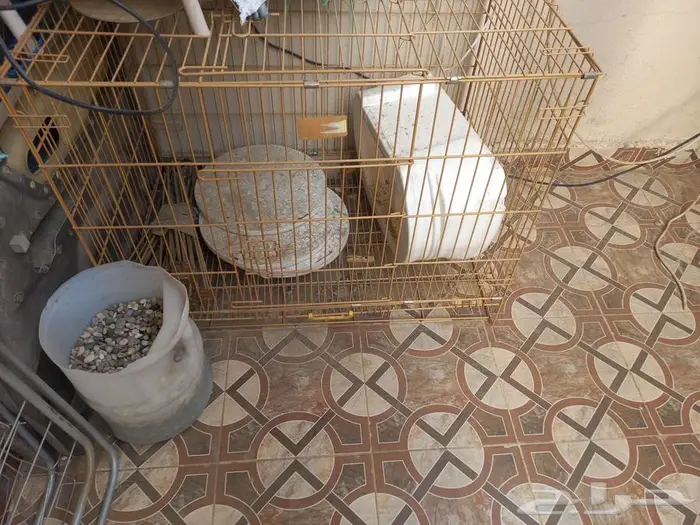 قفص كبير للقطط دجاج أرانب كلاب 0