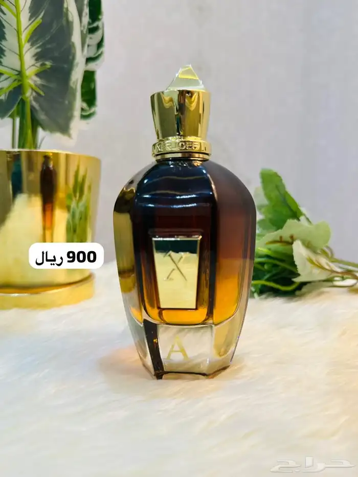 عطورات تستر بأسعار مميزة - جودة عاليه جدا 19