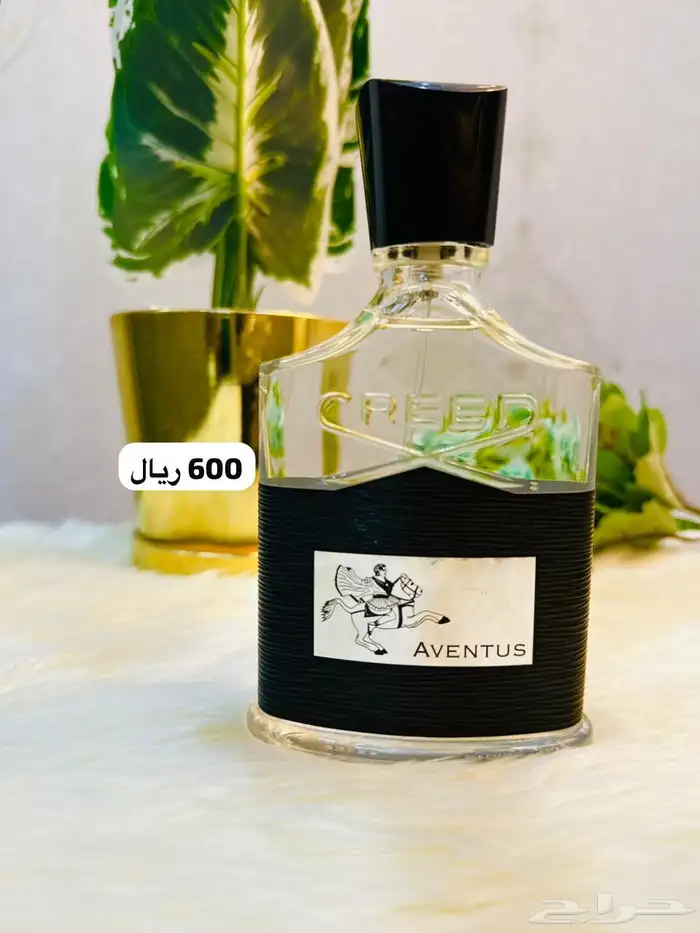 عطورات تستر بأسعار مميزة - جودة عاليه جدا 23