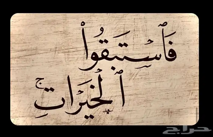 خطاط سعودي 4