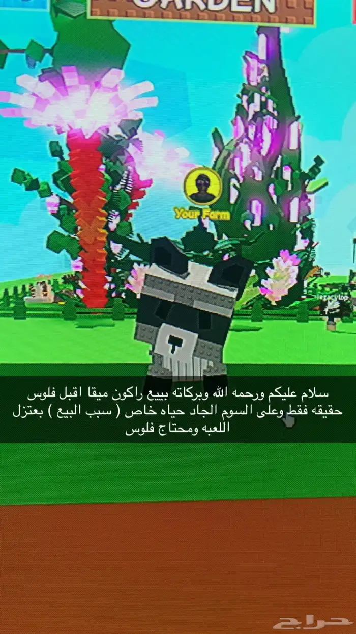 راكون ميقا للبيع ماقبل في اي ماب فلوس حقيقيه فقط 0