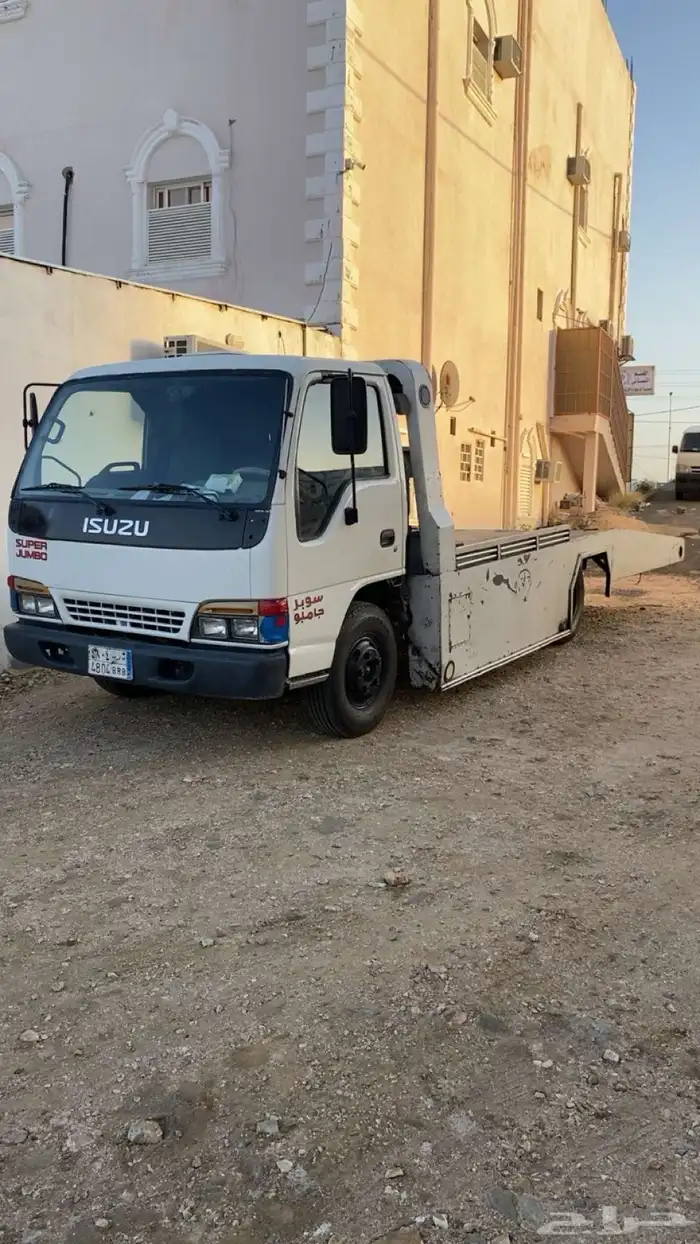 دينا اسيزو 2