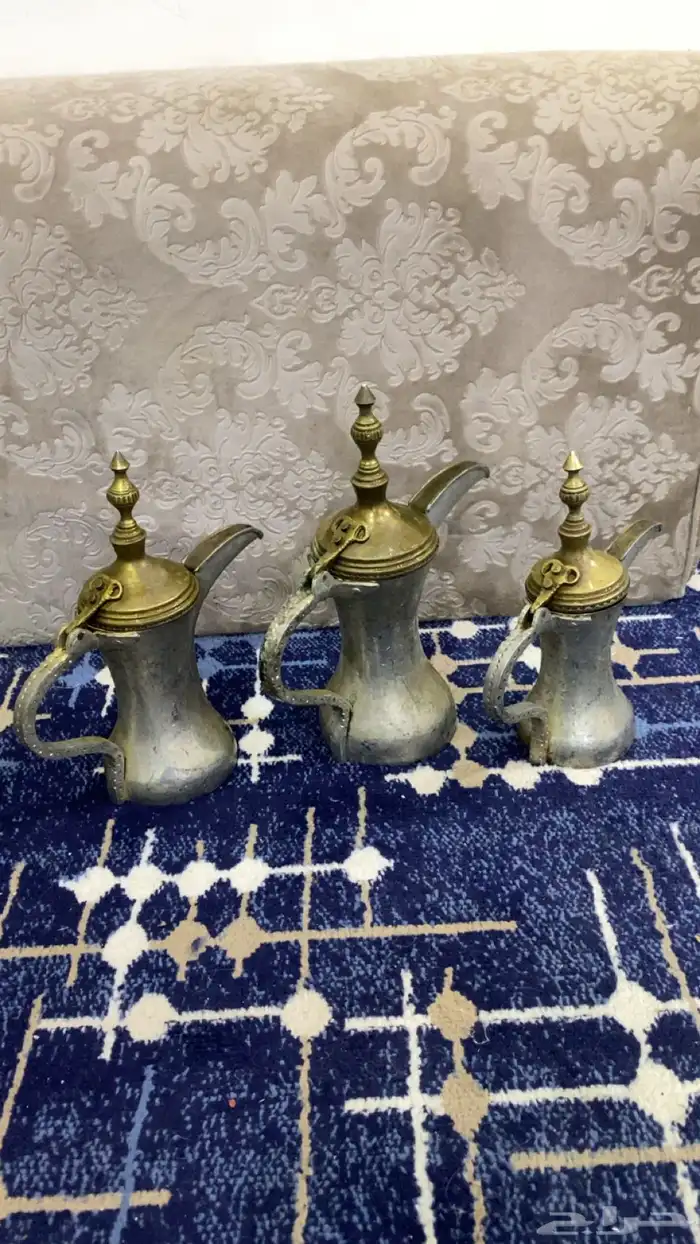 دلال حساويه 2