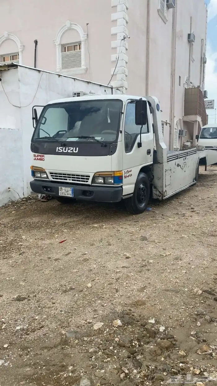 دينا اسيزو 0