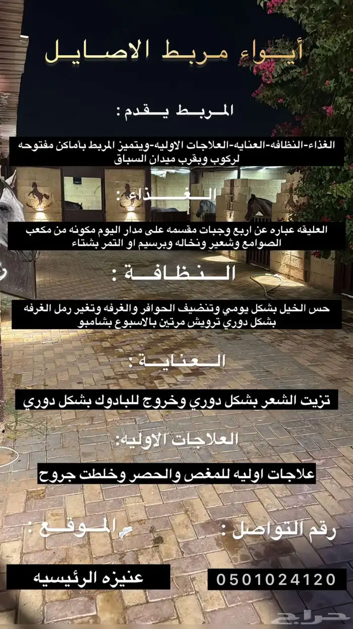 ايواء مربط الاصايل للخيل 0