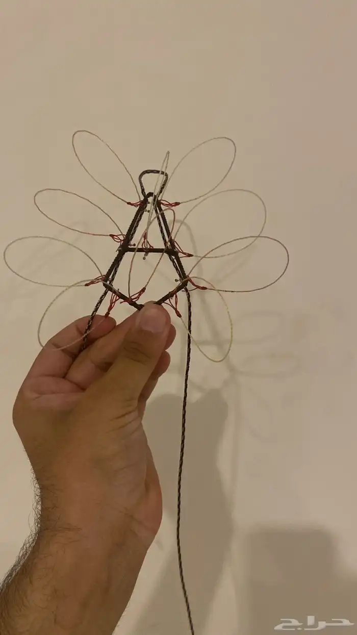 شبوك لصيد الصقور 5