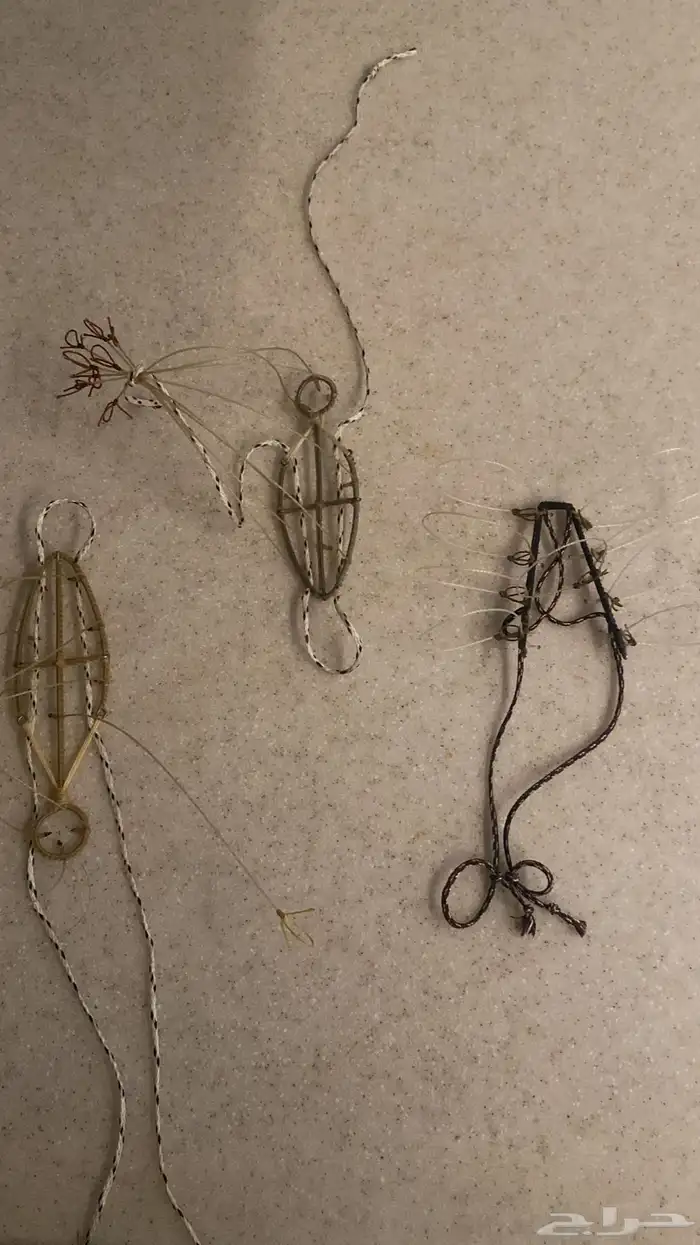 شبوك لصيد الصقور 6