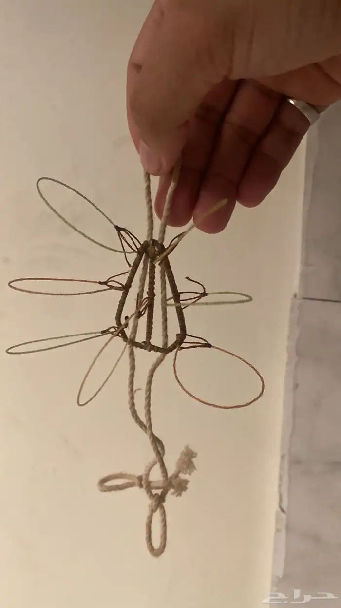 شبوك لصيد الصقور 2