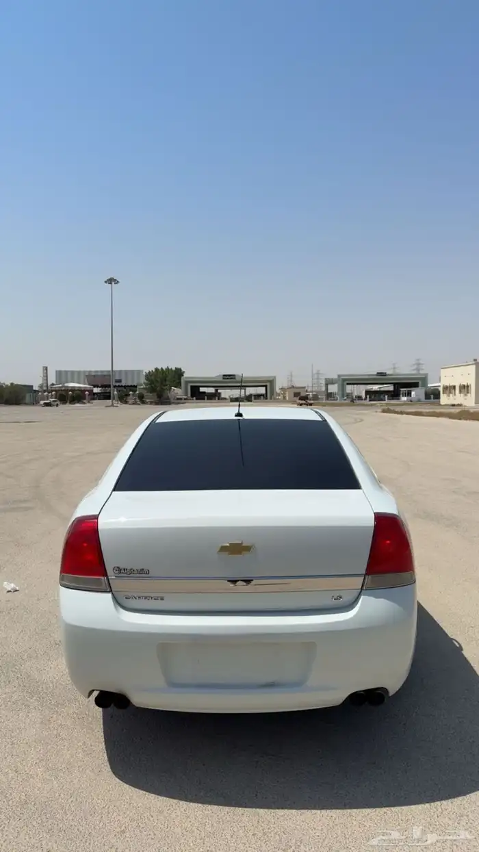 كابرس 2015 كويتي 4