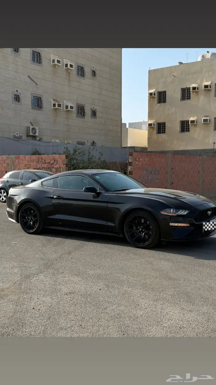 موستنج 2019 V4 1