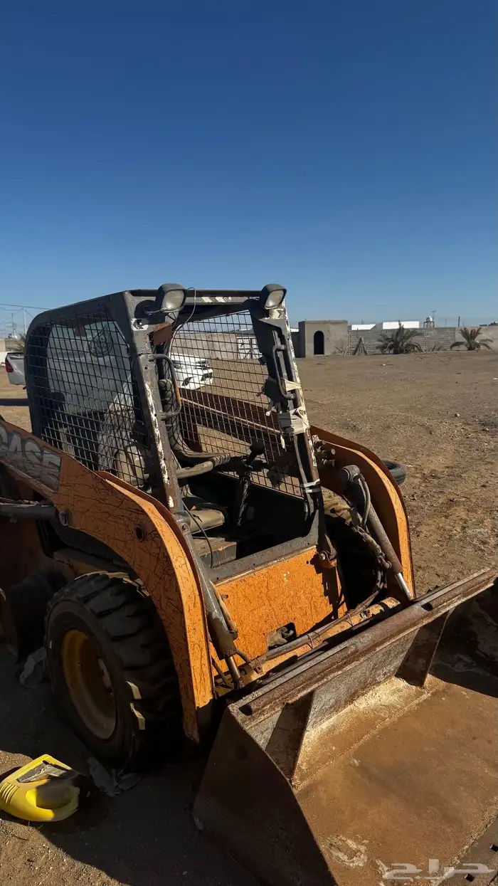 بوبكات للبيع   Bobcat for 3