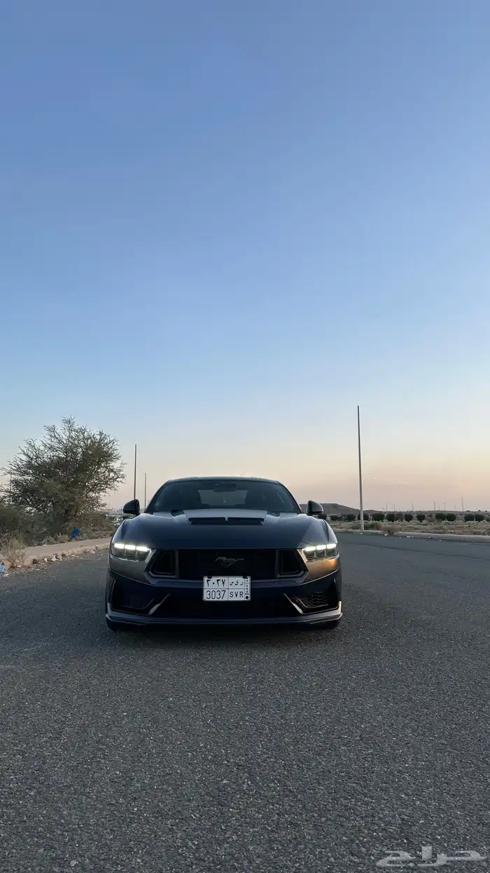 موستنق دارك هورس 2025 7