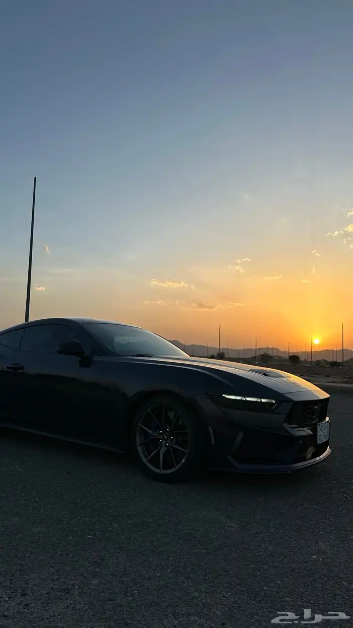 موستنق دارك هورس 2025 3