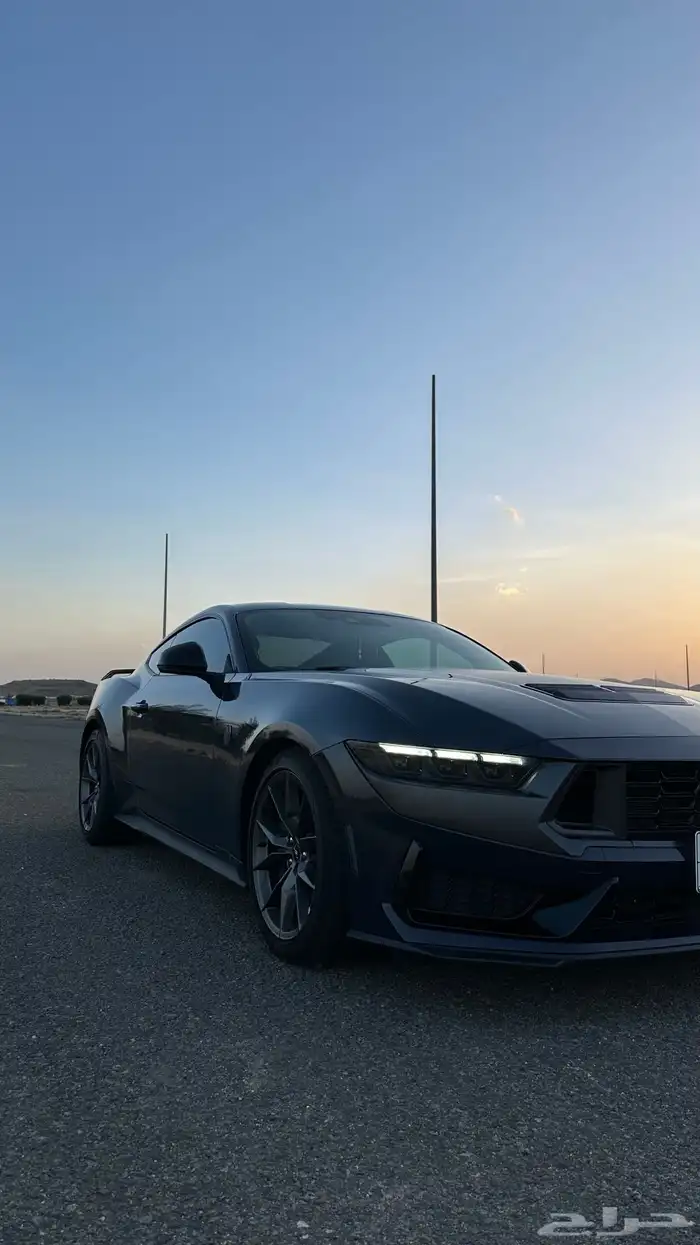 موستنق دارك هورس 2025 0