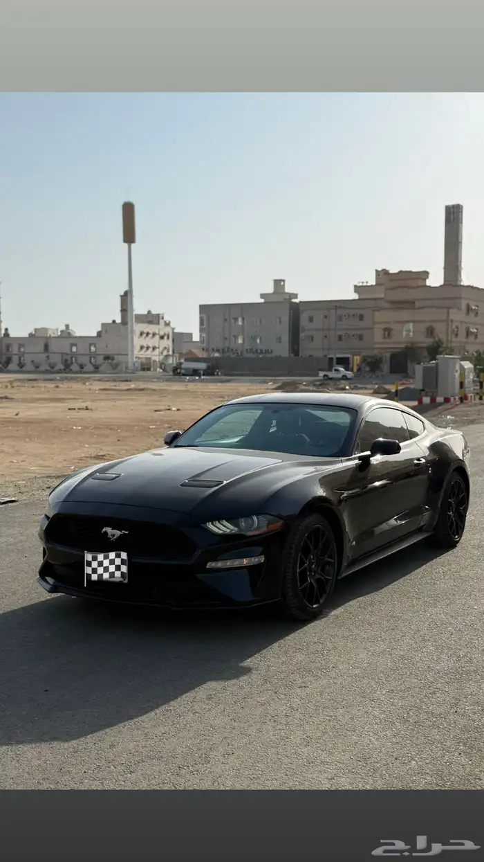 موستنج 2019 V4 0