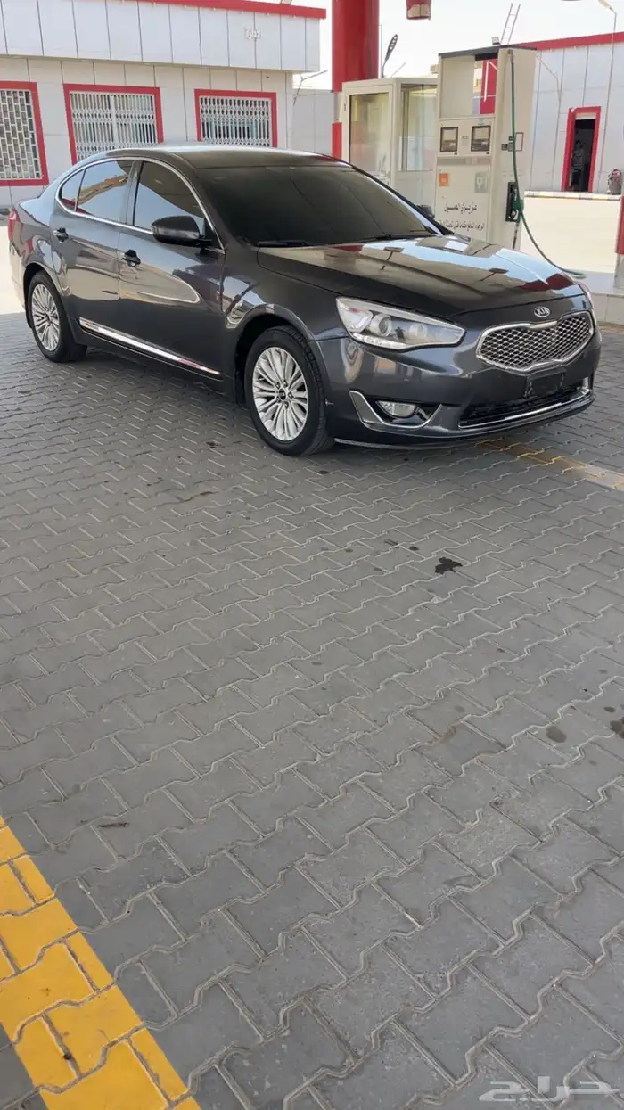 كادينزا 2014 6