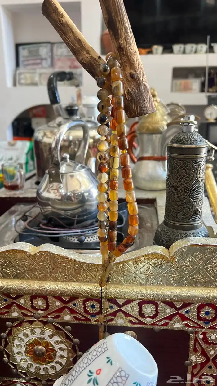 من النوادر سبحه من ظهر السلحفاه (ترسه) 6