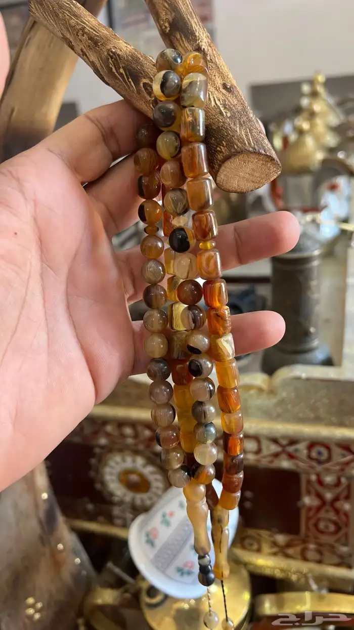 من النوادر سبحه من ظهر السلحفاه (ترسه) 7