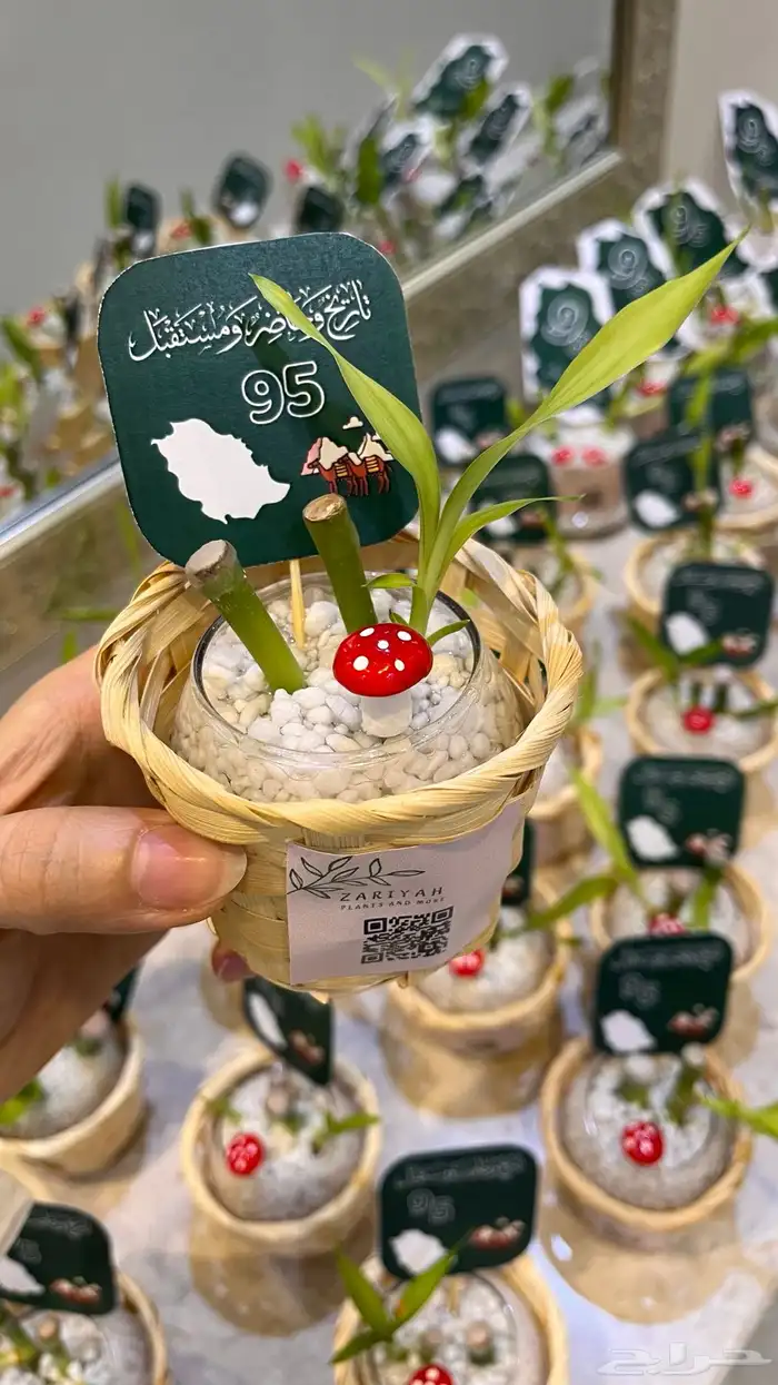 توزيعات اليوم الوطني 2025 11