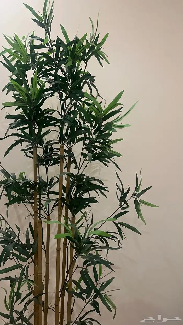 شجرة IKEA 0