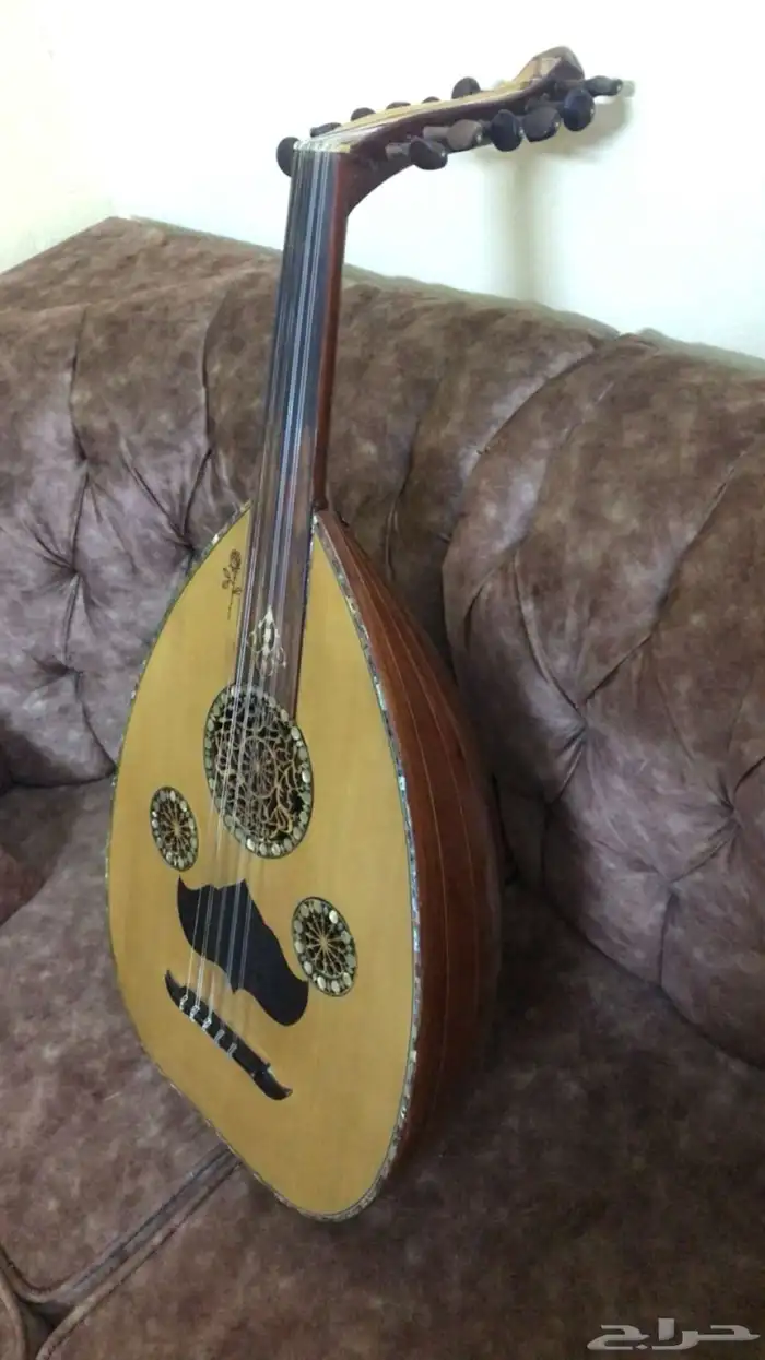 عود للبيع. 0