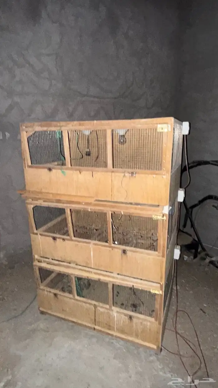فقاسة بيض وحضانة دجاج 2